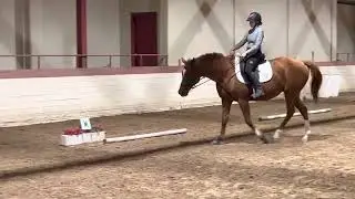 Livia Schuller and Sunny Smiles USDF Training test 3 BACH virtual show