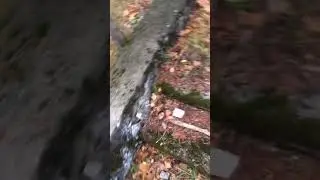 Видео маяк