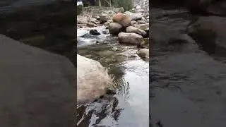 Shiva kailash k Vasi...