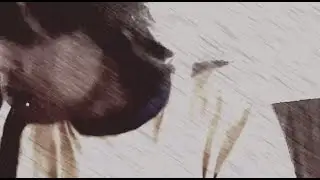 Klein -  karmic freestyle (official video)