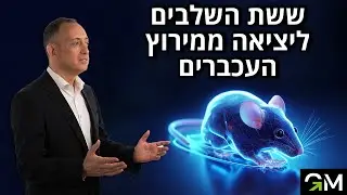 ששת השלבים ליציאה ממרוץ העכברים   מתוך הכנס ״פורצים מהמטריקס״