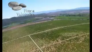Finca Valpiedra, D.O.C. Rioja, SPAIN. VINEYARDS AND DRONE