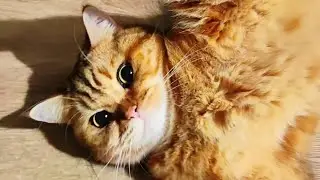 Кто может подтвердить вашу личность?