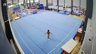 спортивная гимнастика. Вольные 1юр
