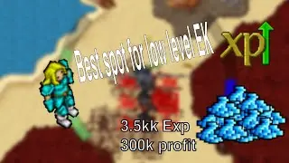 Elite Knight - Low Level Money Making Guide and Exp | Darashia Werehaena