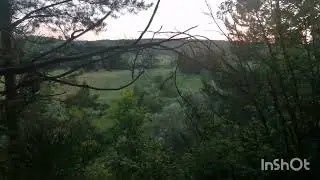 Пензенская обл. Никольский район.