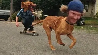 Funny Face Swap Video- Face That'll Have You Laughing [Funny Face Swap Video]