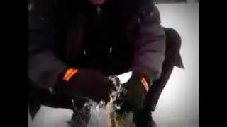 JUOJARVI март 2012