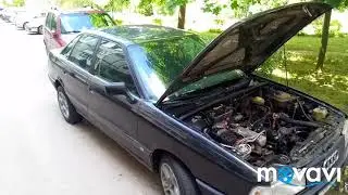 Димексид продолжение