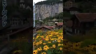 Vüqar Biləcəri: " Sevgilim ".