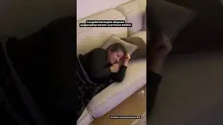 Cemalcan: Laz burnumu annemden aldım 