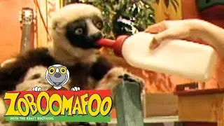🐒 Zoboomafoo 🐒 122 | Pets - Full Episode | Kids TV Shows | Funny Animals