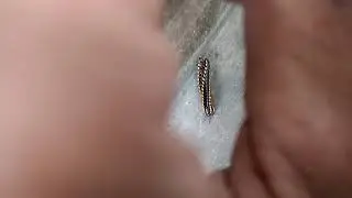 Ngintip yang lagi berduaan. Awalnya cuma gendong-gendongan...