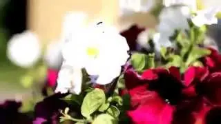 Сухарь ТВ На Аттракционах