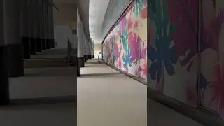 BEAUTIFUL HALLWAY IN CITY #shortvideo #cebuphilippines #mactancebu #philippines  #philippines2023