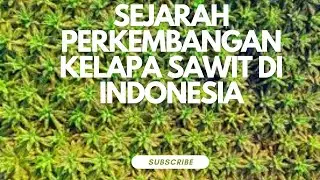 faktak menarik sejarah perkembbangan kelapa sawit di indonesia #fypシ゚viral #sejarah #faktaunik