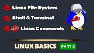 Linux Basics Part 2: File System, Shell, Terminal, and Essential Commands