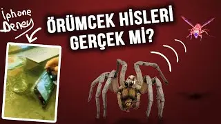 How spiders do it - incredible video 