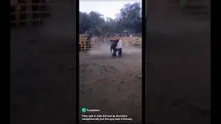Guy puts bull in headlock - Humans are amazing pt 003 #shorts