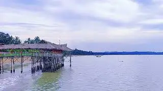 The Authentic Sound of Waves at the Beach