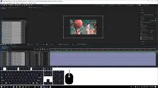 Turning your Rendered Frames into a Video with Adobe After Effects