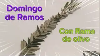 Palma de Domingo de Ramos hecha con hojas de Olivo