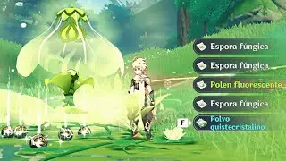 Como conseguir Esporas Fúngicas para Tignari y el Traveler Dendro en Genshin Impact 