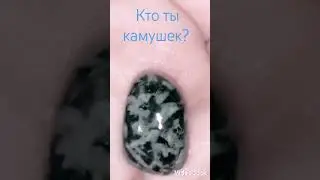КТО ТЫ КАМУШЕК?