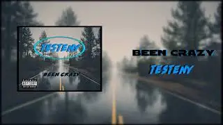 Testeny - Been Crazy (Official Audio)