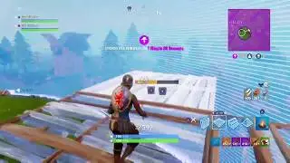 Fortnite Battle Royale Win #17