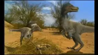 velociraptor