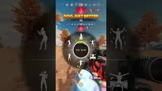 dont mess with my dawg 