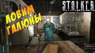S.T.A.L.K.E.R.: Тень Чернобыля || ШОК! ЗООООМБИ в игре  #11