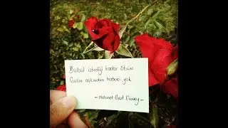 Sen Gönlümün Kusurusun.... Şiir'