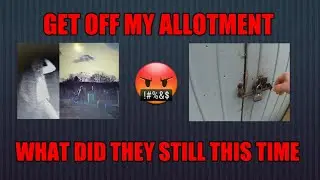 Unfortunately guys it's happened again at the Allotment