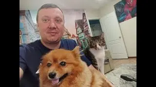 Готовим Котлеты с Пастой Барилла