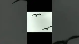 #высоцкий