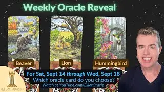 Weekly Oracle Reveal 🔮✨ | Tarot Reading for September 14 to September 18 | Elliot Oracle 🦫 🦁 🌼