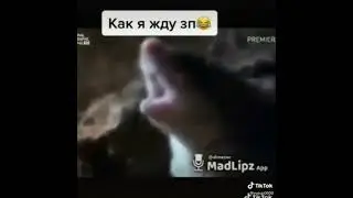 мыш