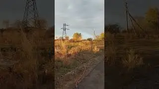 Доброе южное утро ❤️
