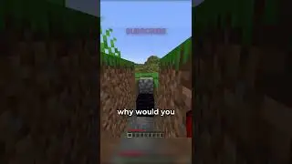 i got invited to a random persons world...