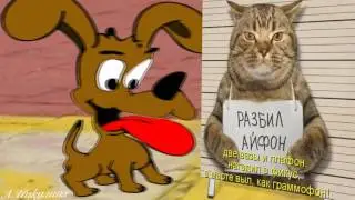 Привет Давайте знакомиться Hello Let's get acquainted