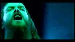 BLS - Stillborn