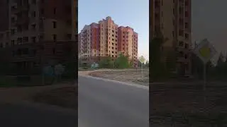 Дураки и... дураки