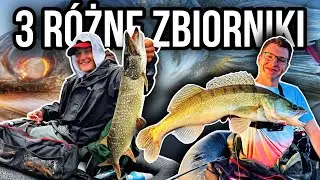 4 DOBY NA SANDACZACH [BELLY BOATY z @Storecki]
