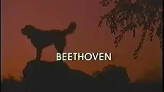Closing To Beethoven 1998 VHS