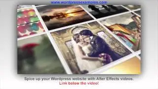 After Effects Templates for your Wordpress Website