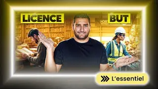 L'essentiel à savoir sur les différences entre Licences et BUT