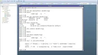 Sharing ZFS file system on Solaris 10