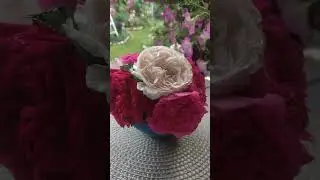 Вечер после грозы #сад #garden #flowers #розы #roses